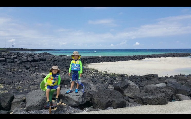  제주도여행 가볼만한곳 / 안내책자 다운로드정보 / 제주관광지도 우편신청