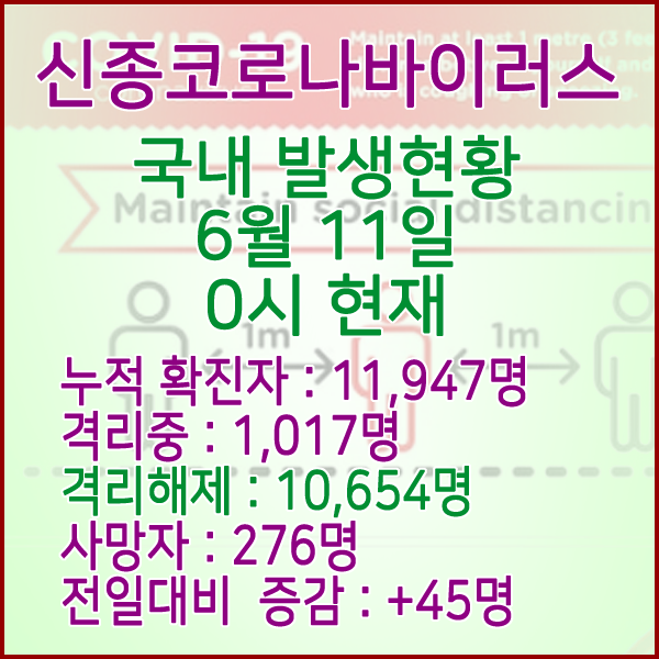  코로나19(코로나바이러스) 6월 11일 0시 국내 발병 11,947명 / 10,654명 완치 격리해제 / 사망자 276명
