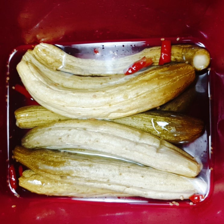  알토란 물없이 오이지담그는법