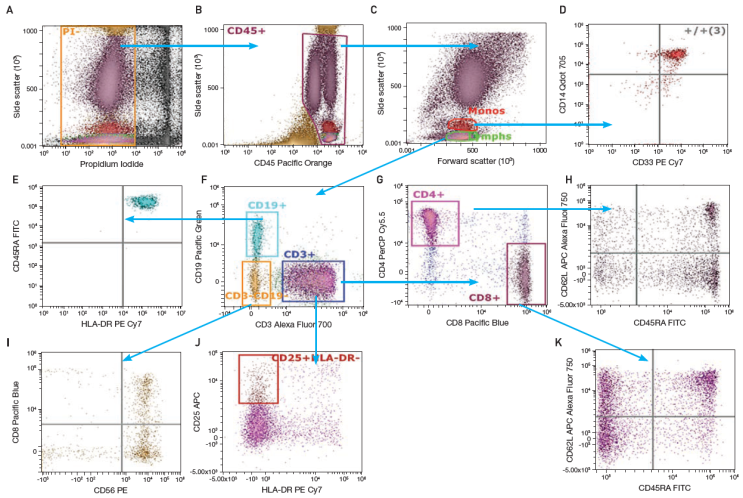  [Flow Cytometer] 혈액 속 면역세포 분석하기
