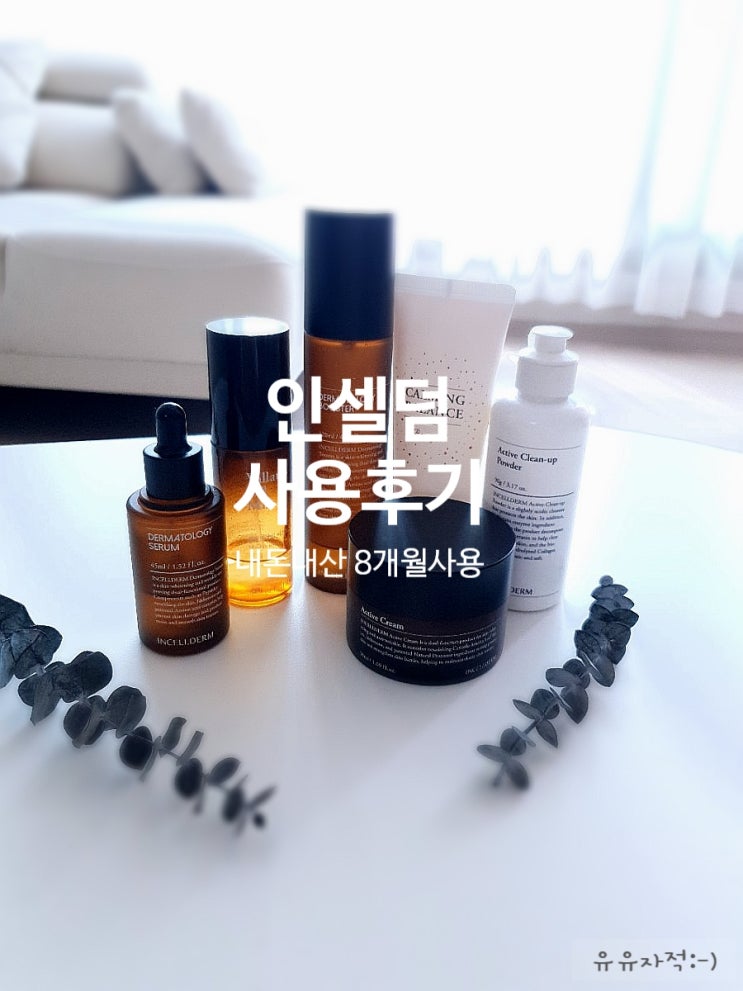  [솔직한후기] 인셀덤 화장품 사용 후기