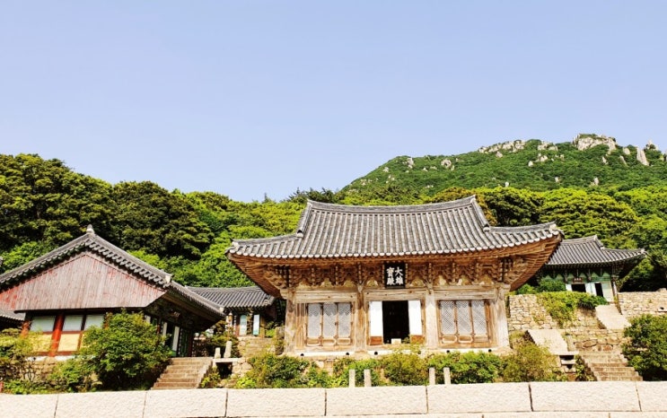  땅끝해남송지면땅끝해송무화과송지미황사를소개합니다