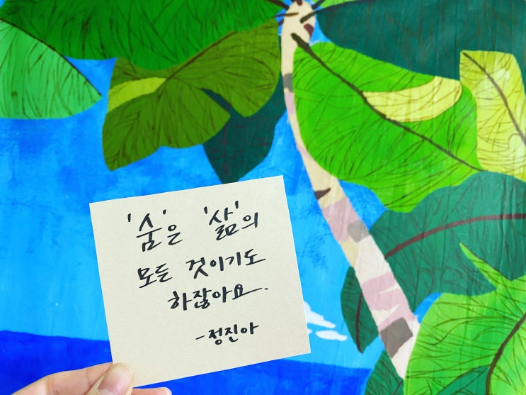  책장 속 한 줄: 문학3 3
