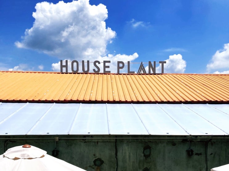 [하남 카페] 하우스플랜트 House Plant