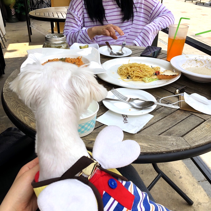  부천 신중동 서비스는 킹왕짱! 직원이 넘 친절하셨다 ^&^