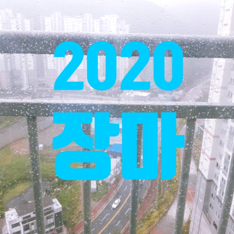  2020년 장마 기간!!! 벌써 장마라고요../올해 왜 이렇게 빠른가요?/ 슬기로운 장마 생활