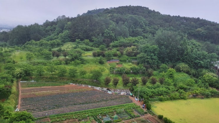  새벽풍경(말미산)