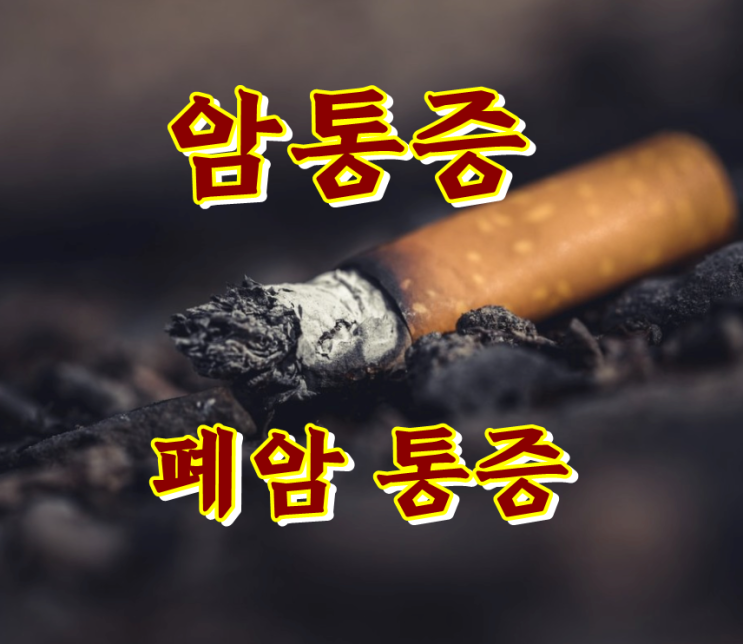  폐암,대장암,췌장암 등 암환자 통증의 원인과 치료
