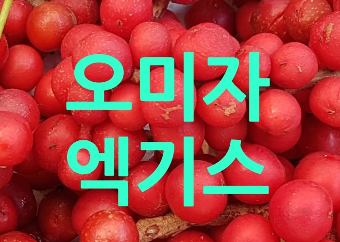  오미자엑기스 알아봅니다.