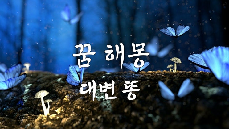  꿈 해몽  똥 꿈 똥 누는 꿈 똥 밟는 꿈 똥 만지는 꿈