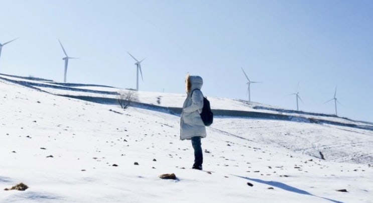  내가, 남편, 애인이, 연예인과 바람피는 꿈 여러 가지