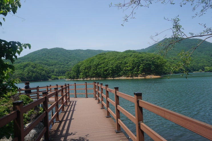  주말나들이 드라이브 파주 마장호수 출렁다리 둘레길