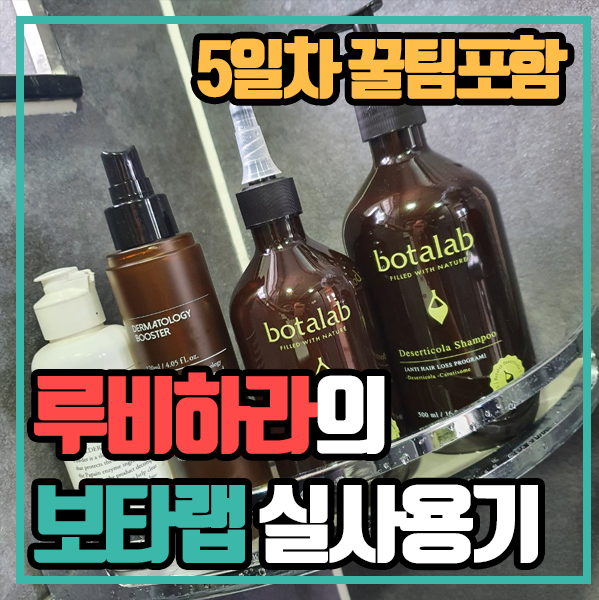 보타랩 - 실 사용기 5일차 [꿀팁 포함!]