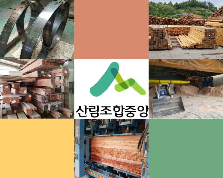  목조주택 교육 : 파일럿 과정으로 실시했던 교육 특강