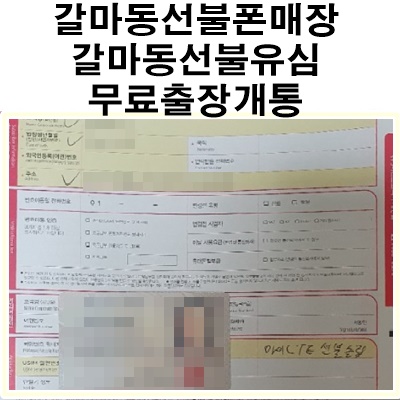  대전 갈마동선불유심,갈마동선불폰 무료출장개통