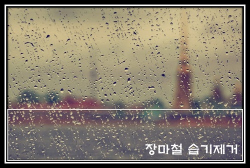  2020 장마준비
