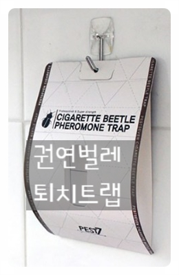  권연벌레퇴치법! 권연벌레전용 페로몬 트랩으로 권연 벌레 전멸!