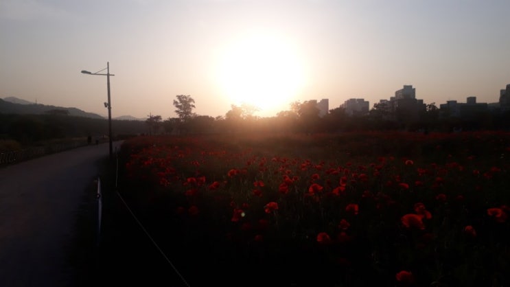  피를 맑게하는 법, 피가 탁해지는 이유 - 피가 맑아야 무병장수할 수 있다.