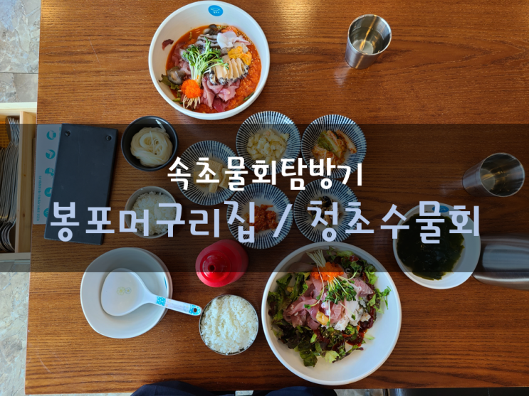 속초 물회 탐방기 (feat.청초수물회 & 봉포머구리집)