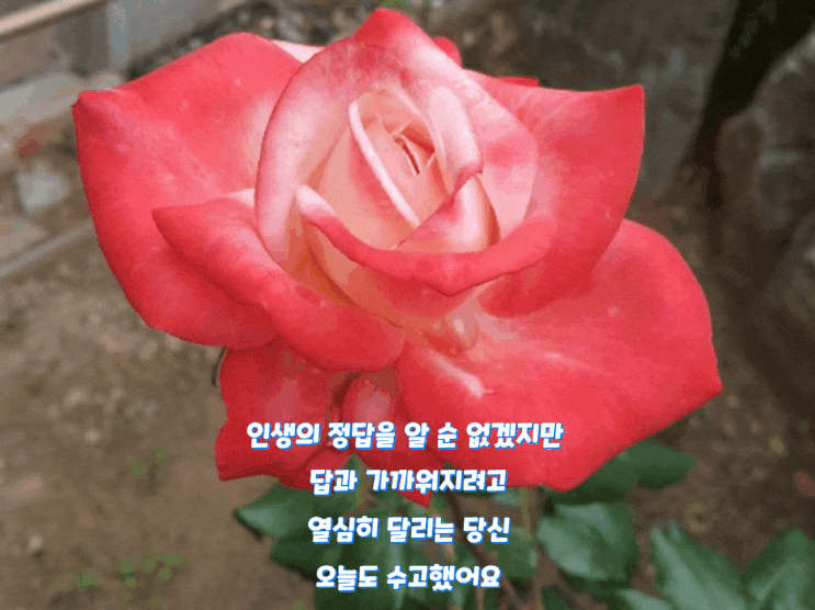  오늘도 수고했어요~
