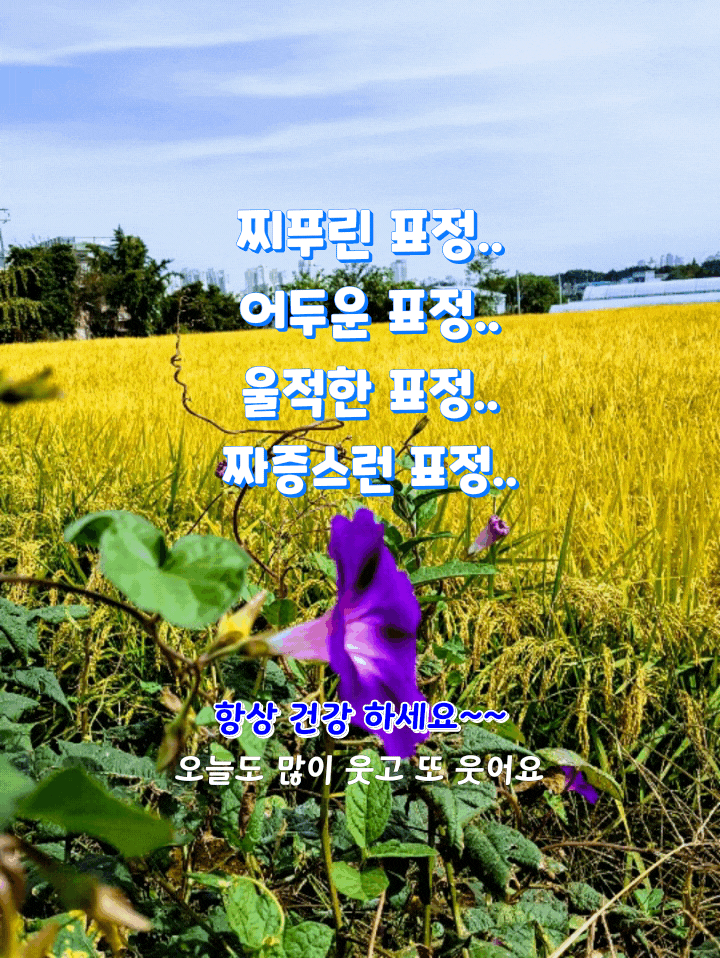  미소 바이러스를 그대에게