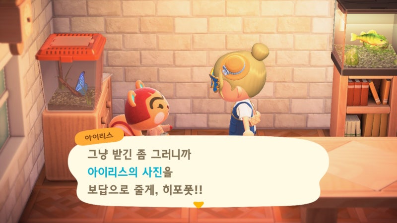 모동숲 일지] 리얼타임 유저의 초기 주민 사진 올 클리어, 주민 사진 받기 미세 팁 : 네이버 블로그