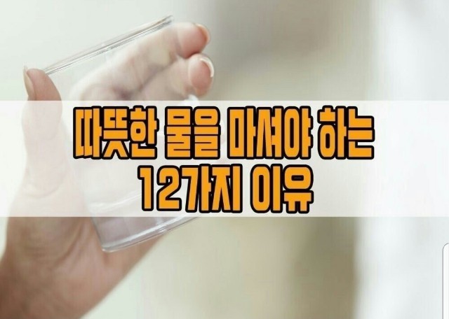  따뜻한물을 마셔야하는이유 12가지.