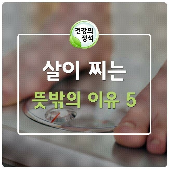  지금까지 몰랐던 살이찌는 뜻밖의 이유 5가지.(살찌는이유)