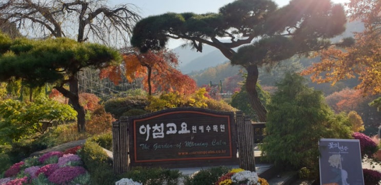  [아침고요 수목원] 자연의 숨소리를 듣다