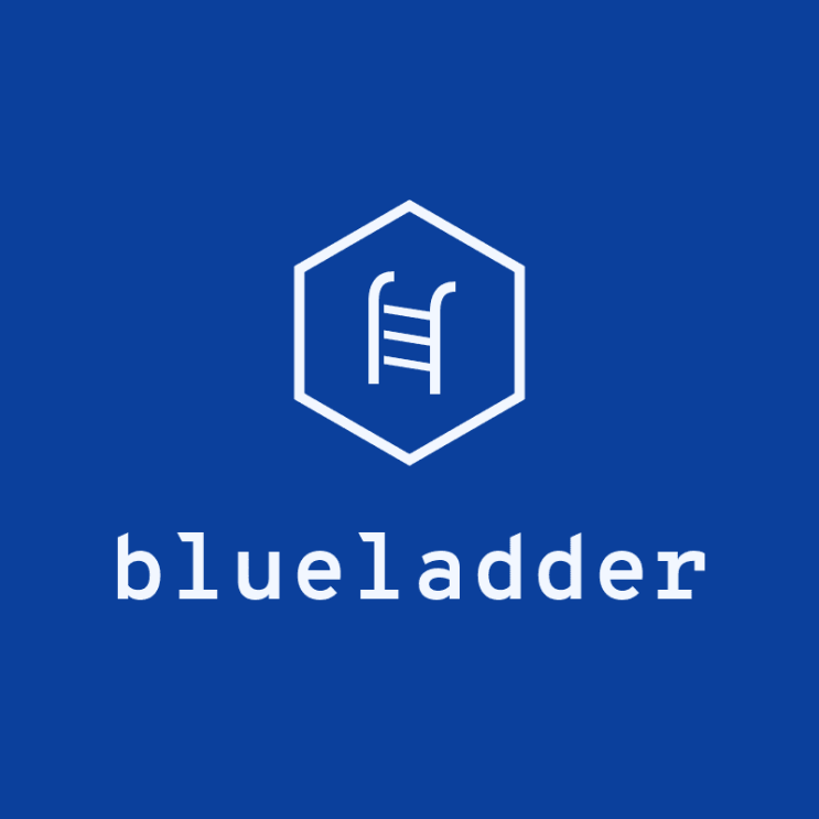  블루래더 blue ladder 경제적 자유를 위한 푸른 사다리