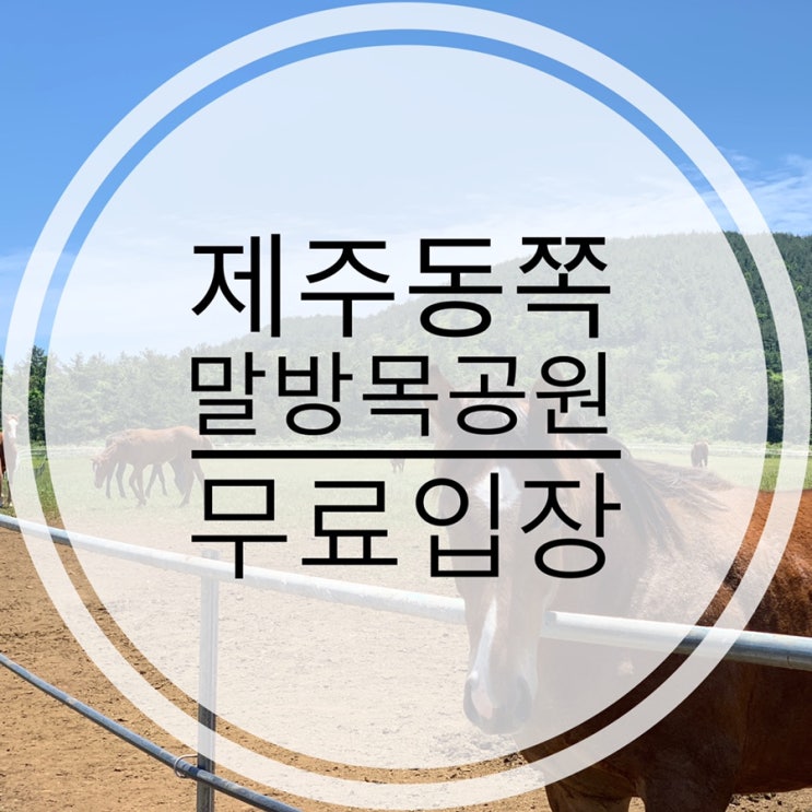 제주무료입장 말방목공원:무인 말먹이주기체험