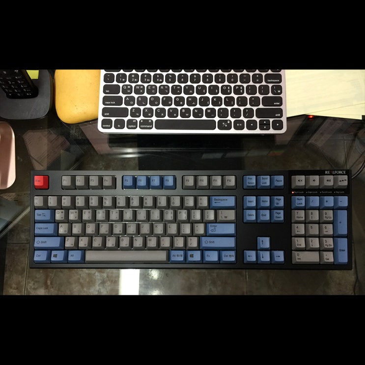  리얼포스 R2 APC 45g 균등 간단리뷰