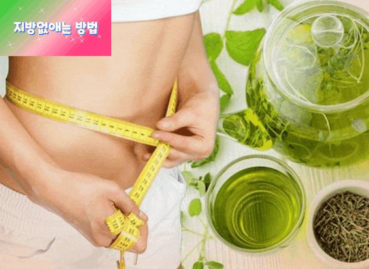 잘먹으면서 살 빼자! 뱃살지방 없애는 방법을 소개할게요~~ 잘먹으면서 살 빼자! 뱃살지방 없애는 방법을 소개할게요~~