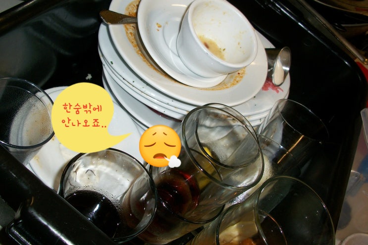  가정용 식기세척기의 대장!! 비싼값하는 주부선물을 찾으신다면?? 밀레식기세척기6620