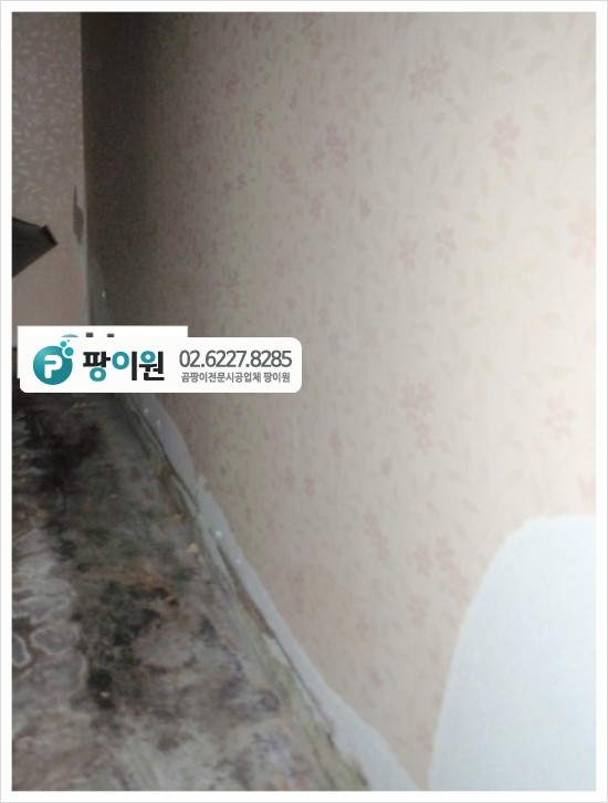  곰팡이냄새?장판 바닥 곰팡이제거 완전 해결!