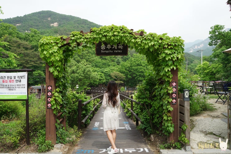 송추계곡 물 맑고 쉬어가기 좋은 양주 계곡 송추계곡 물 맑고 쉬어가기 좋은 양주 계곡