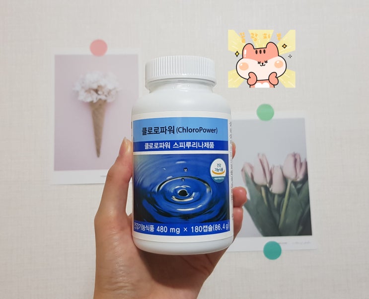  꿀피부와 노화방지를 한 번에!? 유니시티 클로로파워 후기 (+내돈내산)
