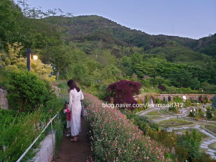  숨은 보석 같은 곳 '진해 보타닉뮤지엄'