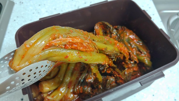 여수 돌산갓김치 맛집 대감 갓김치. 젓갈 여수 돌산갓김치 맛집 대감 갓김치. 젓갈
