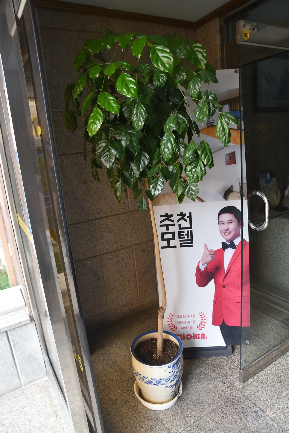 파파야모텔 사진 5