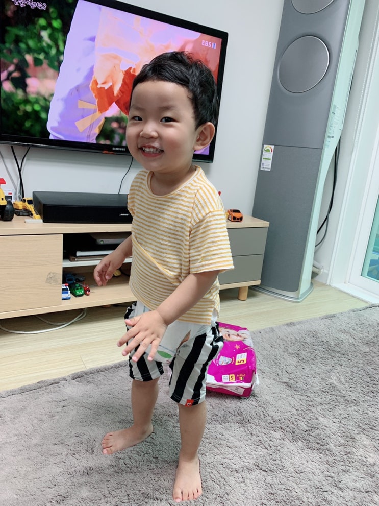  차 안에서 사용 가능한 휴대용 유아 변기 비교