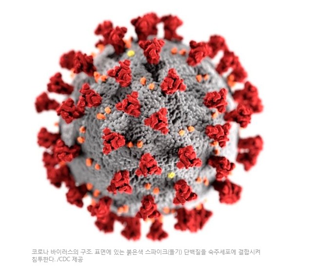  코로나19와 이름치료