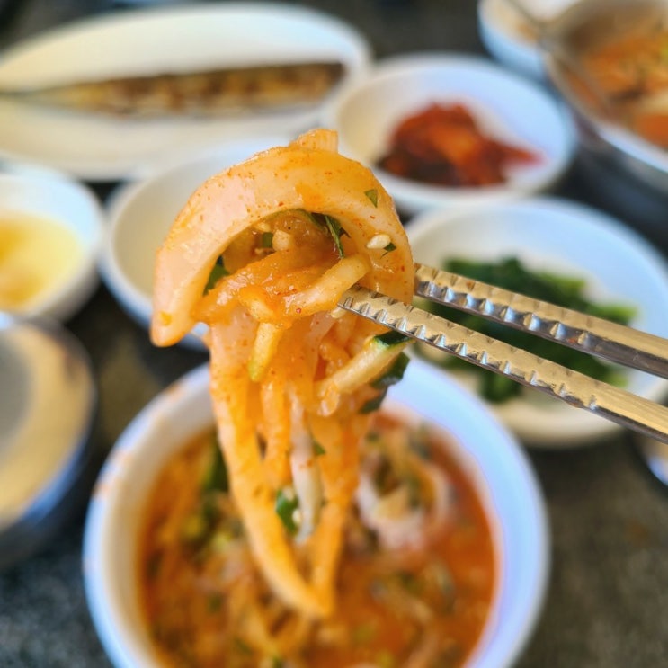  제주도 서귀포 코스(1) 서귀포 물회 맛집, 카페 추천