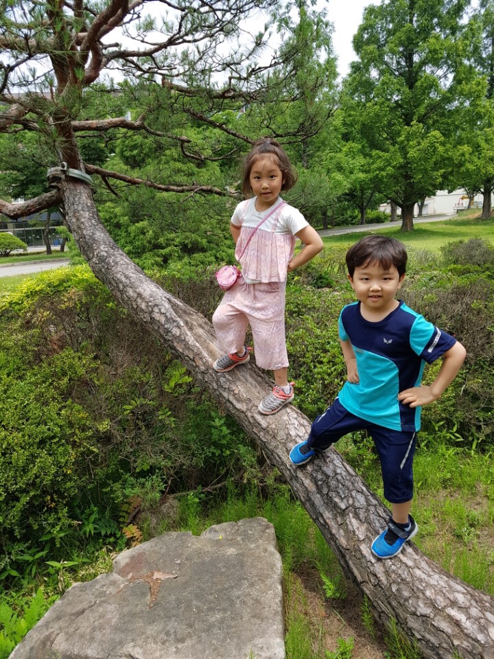 슬쌍디아빠 과거로의 산책(2015.06.13.~2018.06.13.) 육아일기 FILE 199 / 연암대학교 메타세쿼이아길