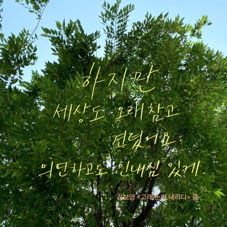  책장 속 한 줄: 문학3 4