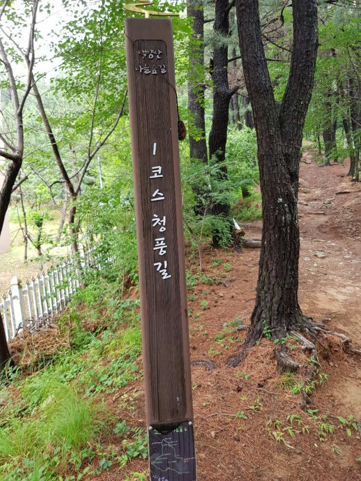  [백양산] [쇠미산] 399m 등산로 소개
