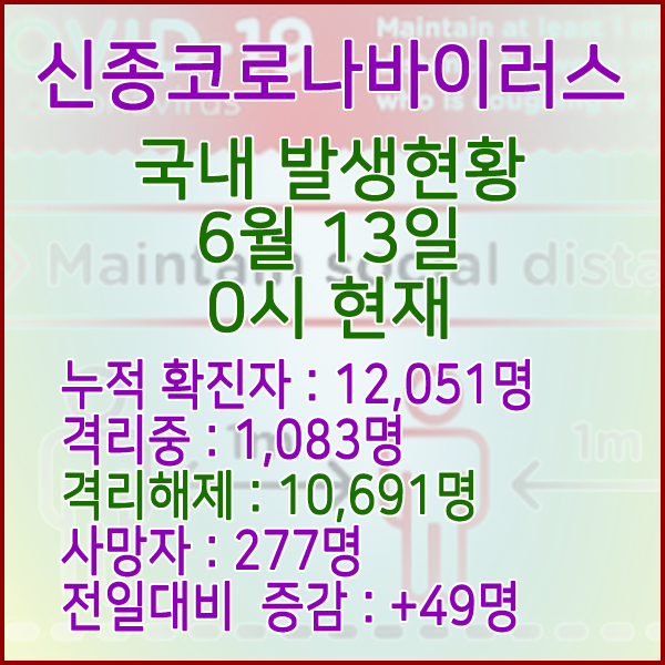  코로나19(코로나바이러스) 6월 13일 0시 국내 발병 12,051명 / 10,691명 완치 격리해제 / 사망자 277명