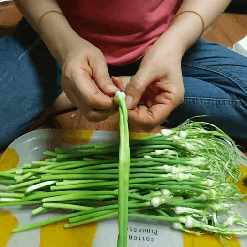  유기농 마늘쫑 한관 단양 해미소농장에서 구매! 마늘쫑요리 조리법과 효능 알아보기