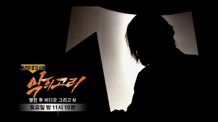 손정우 월컴투비디오 다크웹 N번방 그것이 알고싶다 손정우 월컴투비디오 다크웹 N번방 그것이 알고싶다