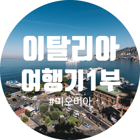 이탈리아에 다녀왔습니다!(1부 소렌토, 폼페이, 나폴리)